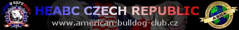 http://www.american-bulldog-club.cz
